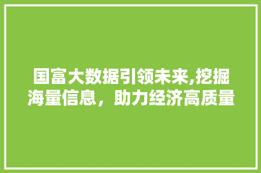 国富大数据引领未来,挖掘海量信息，助力经济高质量发展