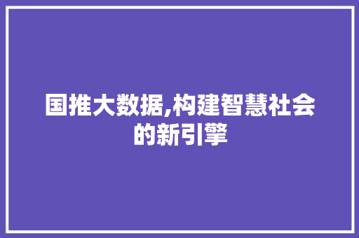 国推大数据,构建智慧社会的新引擎