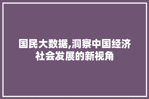 国民大数据,洞察中国经济社会发展的新视角