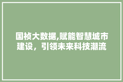 国祯大数据,赋能智慧城市建设，引领未来科技潮流