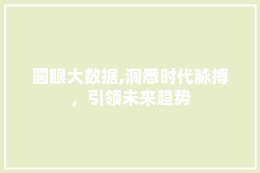 圆眼大数据,洞悉时代脉搏，引领未来趋势