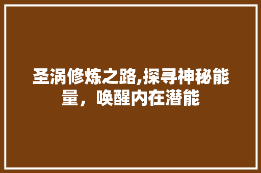 圣涡修炼之路,探寻神秘能量，唤醒内在潜能