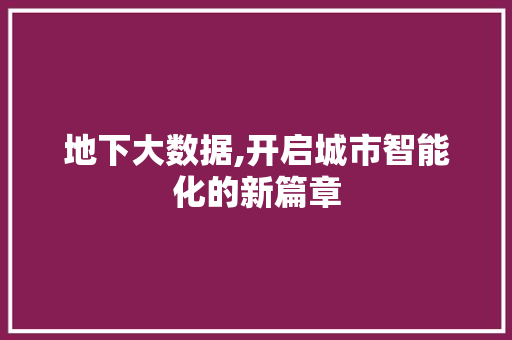 地下大数据,开启城市智能化的新篇章