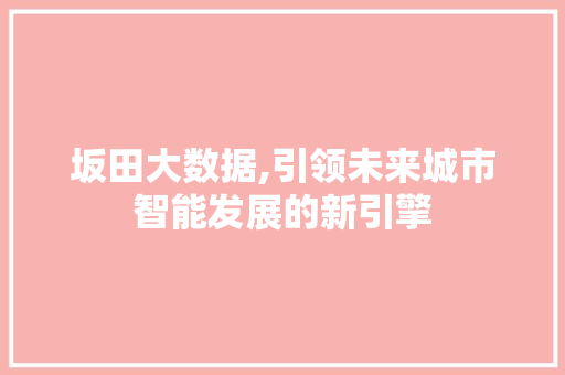 坂田大数据,引领未来城市智能发展的新引擎