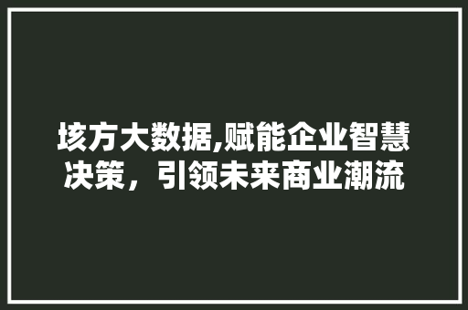 垓方大数据,赋能企业智慧决策，引领未来商业潮流