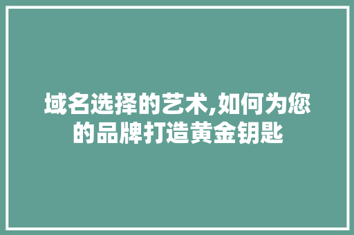 域名选择的艺术,如何为您的品牌打造黄金钥匙