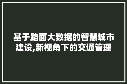 基于路面大数据的智慧城市建设,新视角下的交通管理与创新 百度SEO