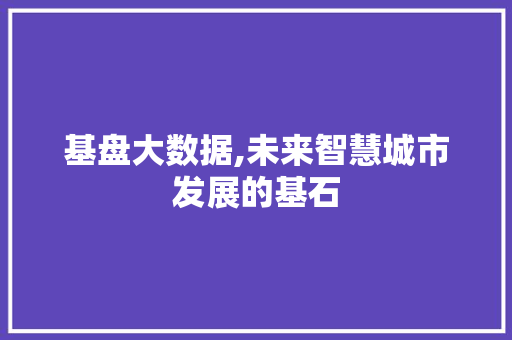 基盘大数据,未来智慧城市发展的基石