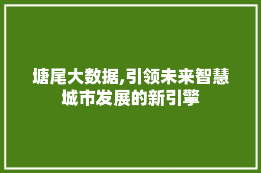 塘尾大数据,引领未来智慧城市发展的新引擎