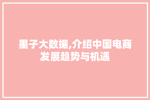 墨子大数据,介绍中国电商发展趋势与机遇