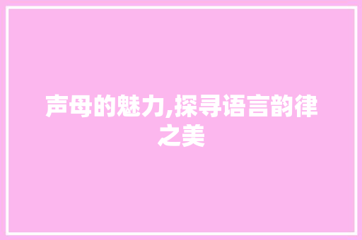声母的魅力,探寻语言韵律之美