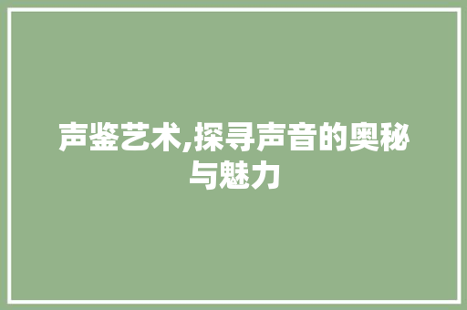 声鉴艺术,探寻声音的奥秘与魅力