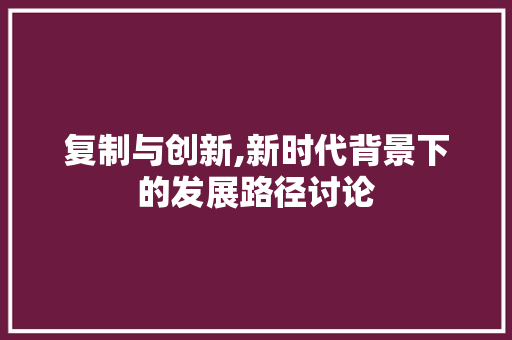 复制与创新,新时代背景下的发展路径讨论 GoogleSEO