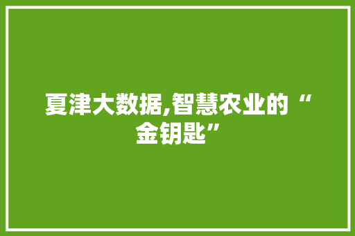 夏津大数据,智慧农业的“金钥匙” GoogleSEO