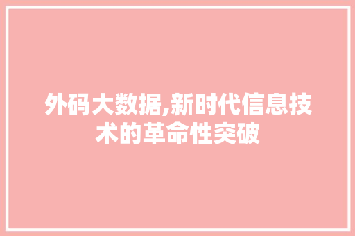 外码大数据,新时代信息技术的革命性突破