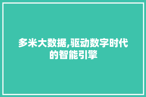 多米大数据,驱动数字时代的智能引擎
