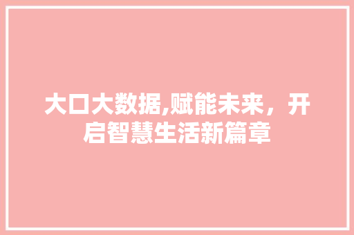 大口大数据,赋能未来，开启智慧生活新篇章
