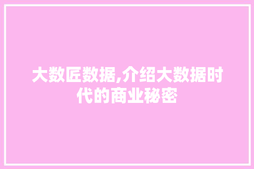 大数匠数据,介绍大数据时代的商业秘密