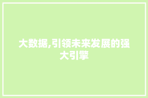 大数据,引领未来发展的强大引擎