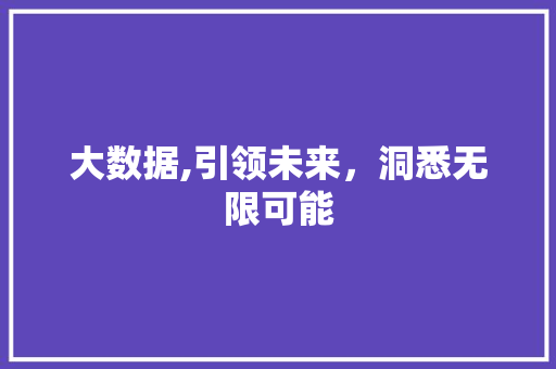 大数据,引领未来，洞悉无限可能 必应SEO