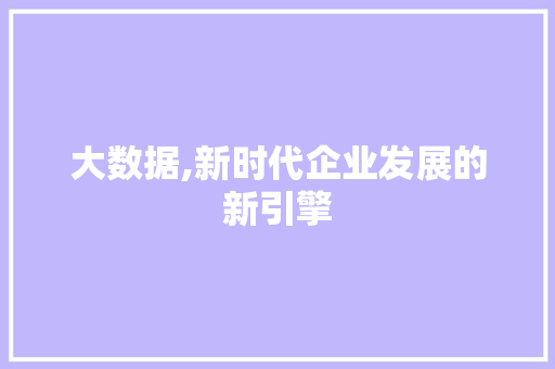 大数据,新时代企业发展的新引擎