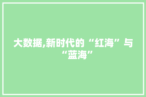 大数据,新时代的“红海”与“蓝海”