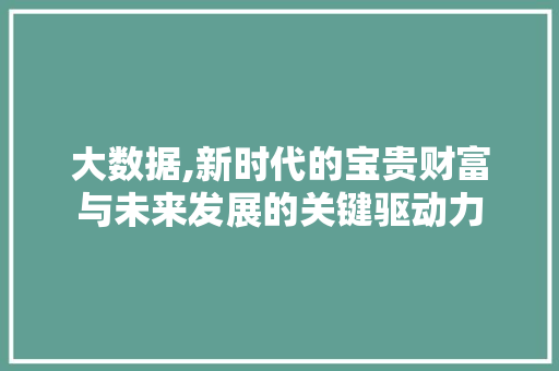 大数据,新时代的宝贵财富与未来发展的关键驱动力