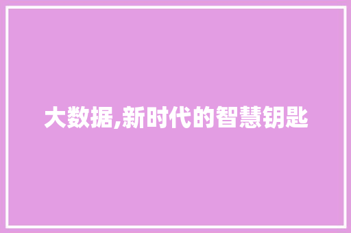 大数据,新时代的智慧钥匙