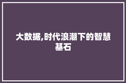 大数据,时代浪潮下的智慧基石 搜狗SEO
