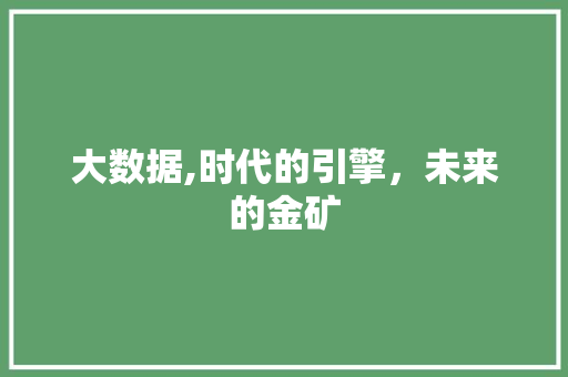 大数据,时代的引擎，未来的金矿 百度SEO