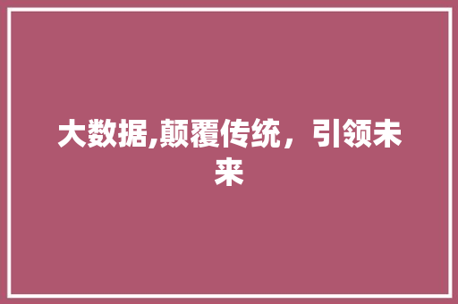 大数据,颠覆传统，引领未来