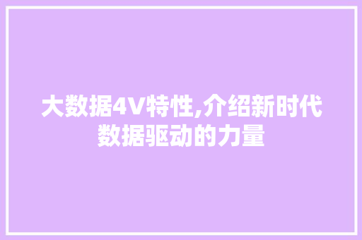 大数据4V特性,介绍新时代数据驱动的力量