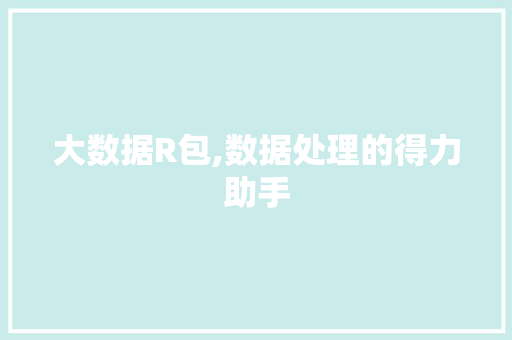 大数据R包,数据处理的得力助手