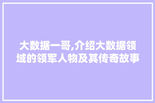 大数据一哥,介绍大数据领域的领军人物及其传奇故事