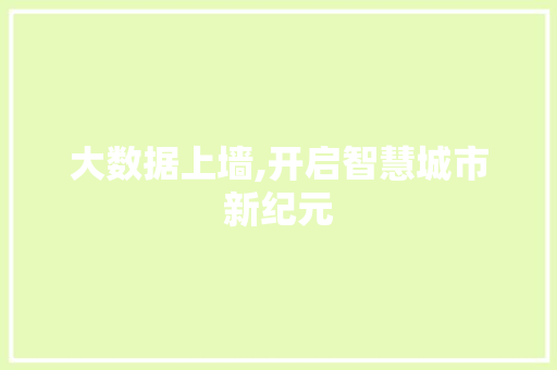 大数据上墙,开启智慧城市新纪元