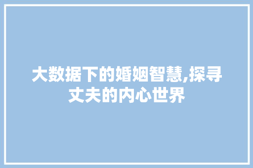 大数据下的婚姻智慧,探寻丈夫的内心世界