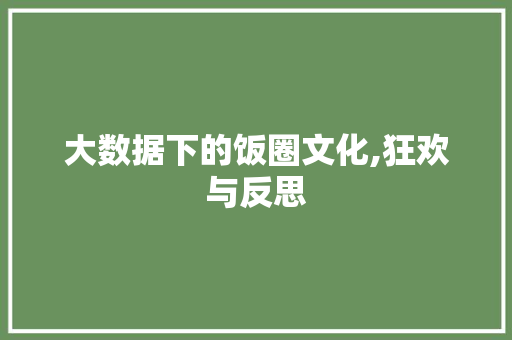 大数据下的饭圈文化,狂欢与反思