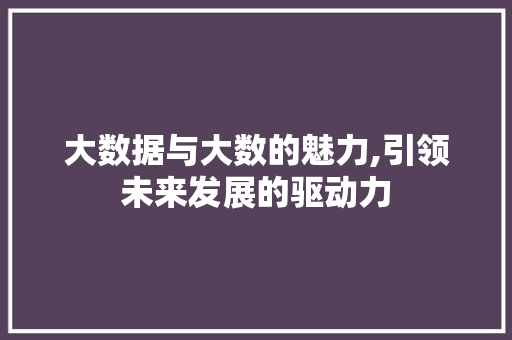 大数据与大数的魅力,引领未来发展的驱动力