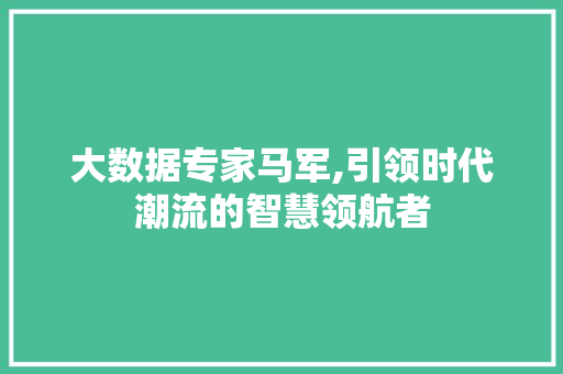 大数据专家马军,引领时代潮流的智慧领航者 GoogleSEO