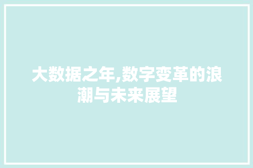 大数据之年,数字变革的浪潮与未来展望