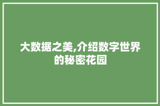 大数据之美,介绍数字世界的秘密花园 神马SEO