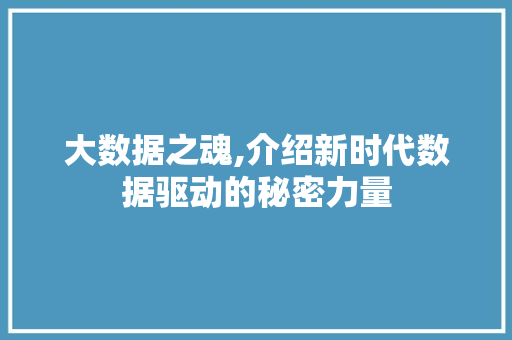 大数据之魂,介绍新时代数据驱动的秘密力量 搜狗SEO