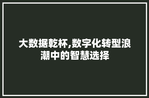 大数据乾杯,数字化转型浪潮中的智慧选择