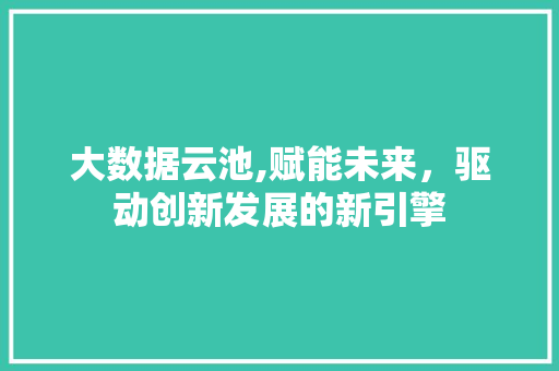 大数据云池,赋能未来，驱动创新发展的新引擎