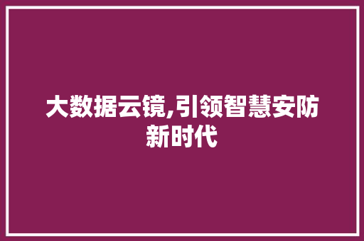 大数据云镜,引领智慧安防新时代 必应SEO