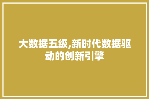 大数据五级,新时代数据驱动的创新引擎