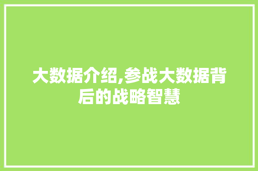 大数据介绍,参战大数据背后的战略智慧