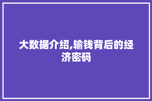 大数据介绍,输钱背后的经济密码