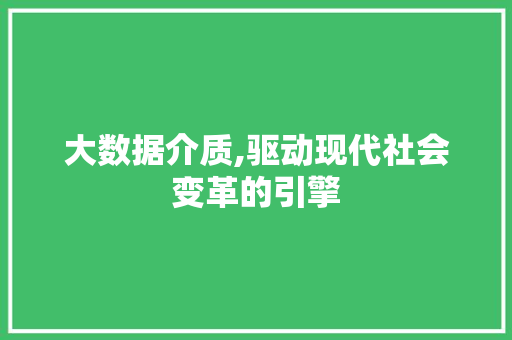 大数据介质,驱动现代社会变革的引擎