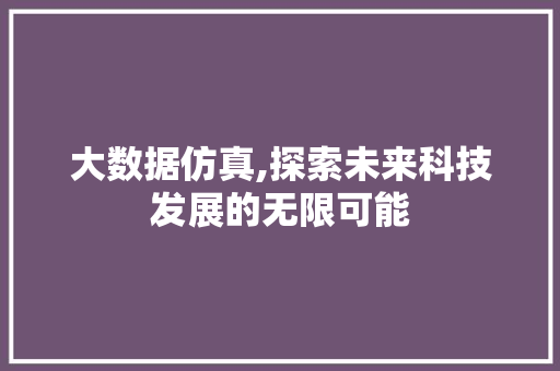 大数据仿真,探索未来科技发展的无限可能 神马SEO
